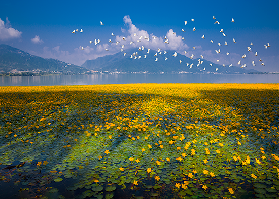 1609751508960742.png 圖片1.png