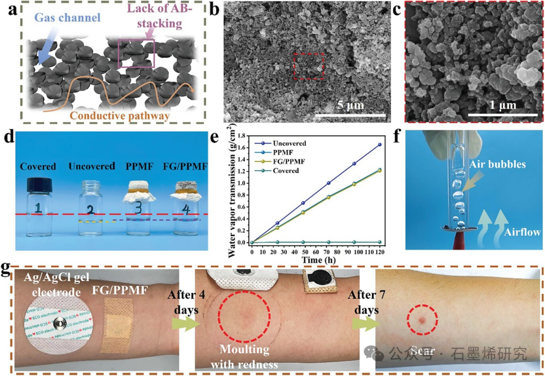 1716279026305436.png 640 (3).png